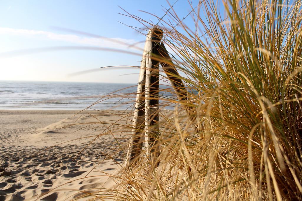 Hofje Van Maas Zandvoort Bagian luar foto