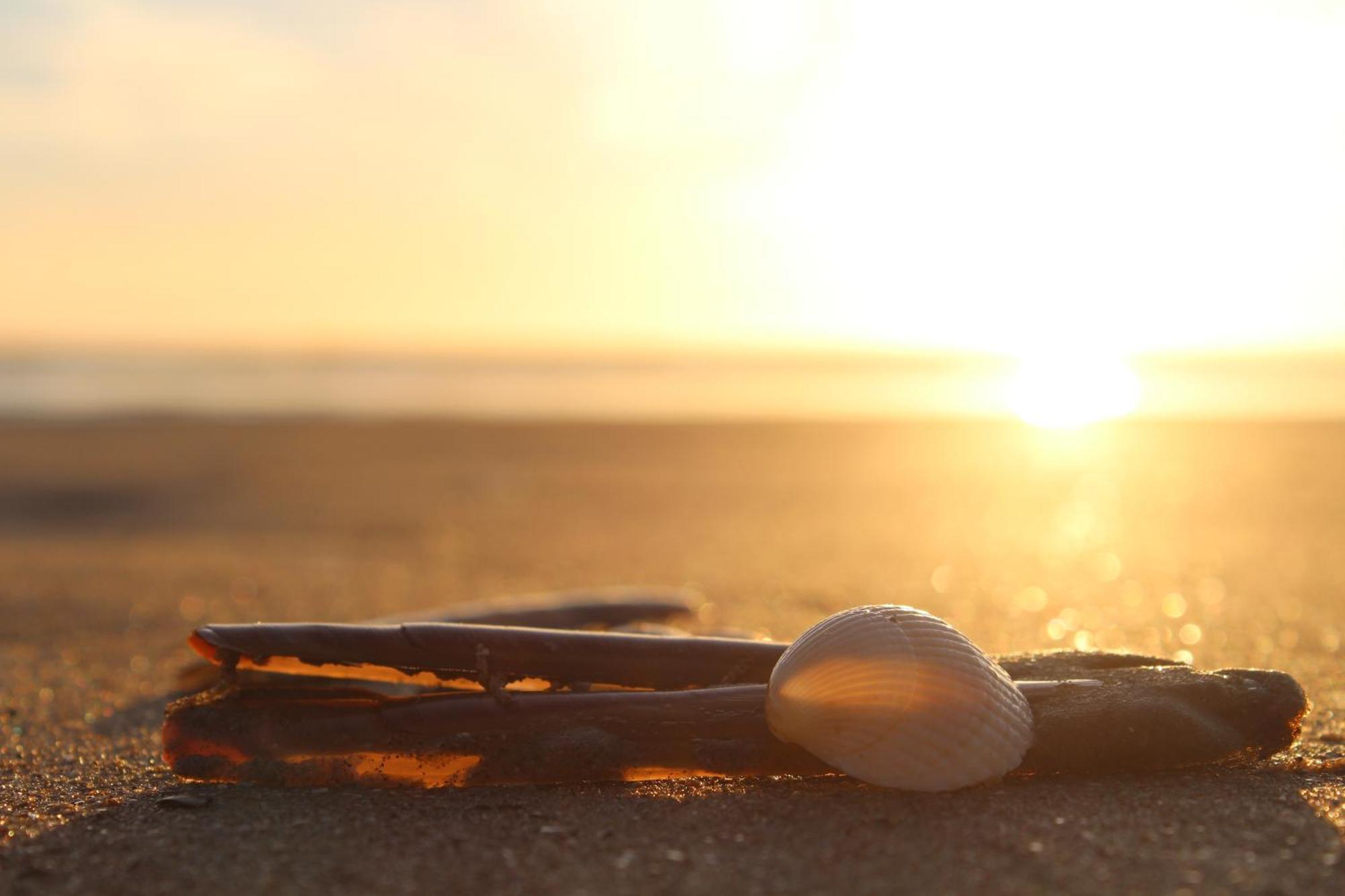 Hofje Van Maas Zandvoort Bagian luar foto