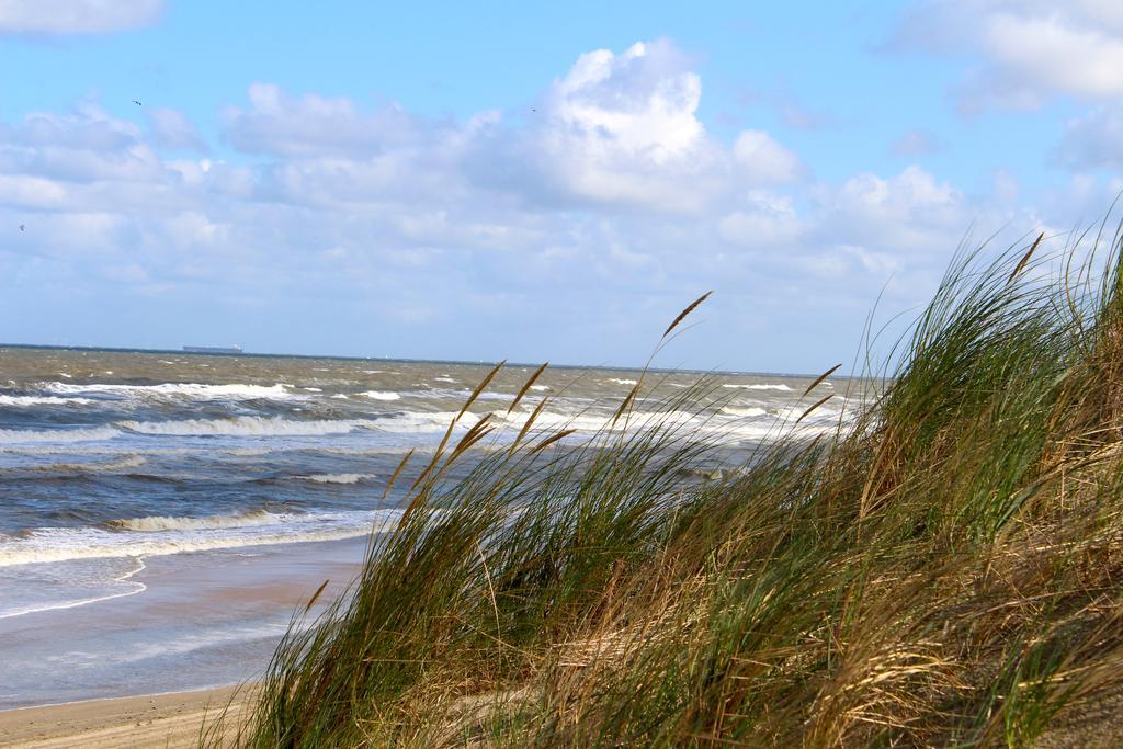 Hofje Van Maas Zandvoort Bagian luar foto